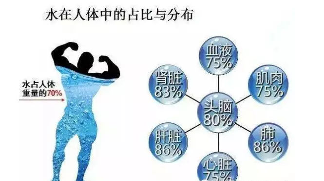 矿泉水代理批发